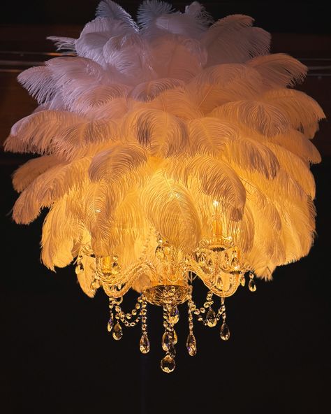 Transform your event into a breathtaking experience with our luxurious ostrich feather chandeliers. ✨ Crafted to captivate and enchant, this statement piece brings elegance and sophistication to any occasion, creating an unforgettable atmosphere. • • • #feathercenterpieces #ostrichfeathers #ostrichfeathercenterpieces #ostrichfeatherchandelier #greatgatsbyparty #greatgatsbytheme #greatgatsbywedding #rentfeathers #weddinginspiration #weddingdecor #weddingideas #featherdecor Ostrich Feather Centerpieces, Feather Chandelier, Great Gatsby Theme, Feather Centerpieces, Great Gatsby Party, Feather Decor, Ostrich Feather, Ostrich Feathers, Chandeliers