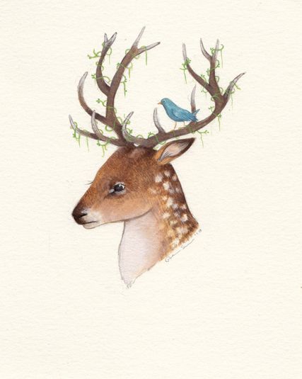 Devon Smith, Deer Print, Colorful Animals, Creative Painting, First Art, Pattern Illustration, Art Display, Woodland Animals, Animals Friends