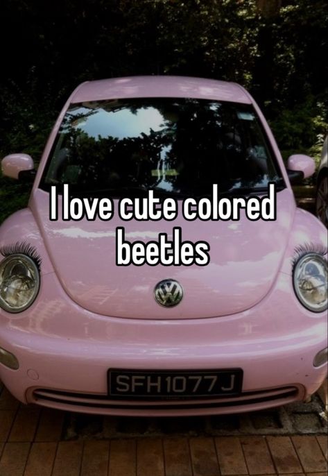 mine Volkswagen New Beetle, Cars Room, Beetle Car, Vw Beetle, Pretty When You Cry, Pink Car, Car Interior Decor, Classy Cars, Pretty Cars