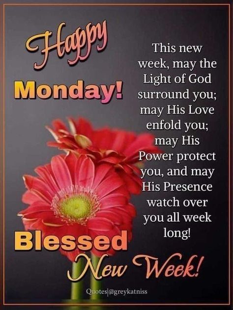 Happy Monday. This new week, may the light of God surround you. Happy Blessed Monday, Morning Quotes Monday, Monday Morning Greetings, Happy Monday Pictures, Blessed Monday, Monday Wishes, Monday Pictures, Happy Monday Quotes, Happy Monday Morning