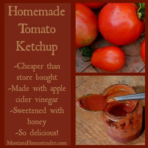 Homemade ketchup made with homegrown tomatoes sweetened with honey and apple cider vinegar | Montana Homesteader Healthy Apple Cider, Homemade Tomato Ketchup, Homemade Ketchup Recipes, Ketchup Recipe, Homemade Ketchup, Canning Food Preservation, Homemade Condiments, Healthy Apple, Homemade Salsa