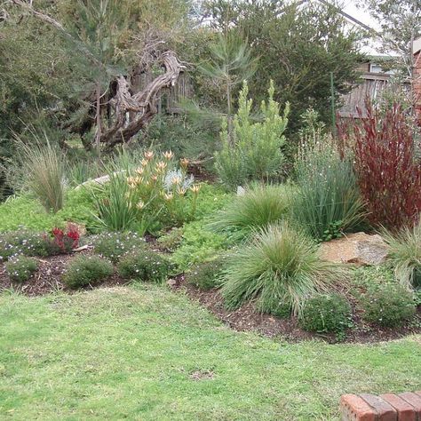 Garden Design Ideas - Get Inspired by photos of Gardens from Australian Designers & Trade Professionals - Australia | hipages.com.au Naturalistic Planting, Garden Ideas Australia, Australian Garden Design, Cheap Landscaping Ideas, Bush Garden, Australian Native Garden, Landscaping Inspiration, Front Yard Garden Design, Australian Garden