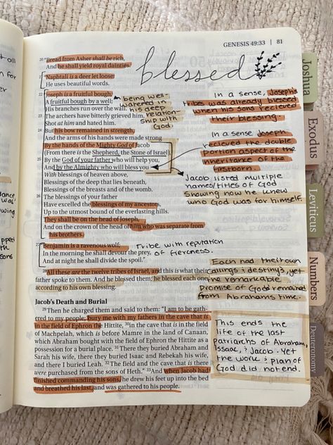 Genesis 27 Bible Journaling, Bible Decorating Ideas, Bible Study Essentials, Womens Study Bible, Bible Study Supplies, Genesis Bible Study Notes, Scripture Study Aesthetic, Genesis Bible Journaling Notes, Aesthetic Bible Notes