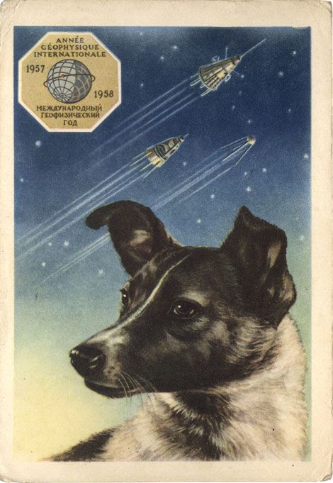 Soviet Space Dogs, Belka And Strelka, Laika Dog, Space Animals, Martin Parr, Space Dog, Space Race, Space Poster, Astronauts In Space