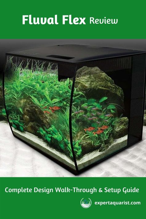 Fluval Flex small tanks review. The tank is nice and easy to setup as you'll see below and the design of it with the curved front makes it easy to get a good look. Fluval Flex 15, Fish Bowls, Nano Aquarium, Fish Supplies, Saltwater Tank, Live Coral, Small Tank, Reef Tank, Freshwater Aquarium