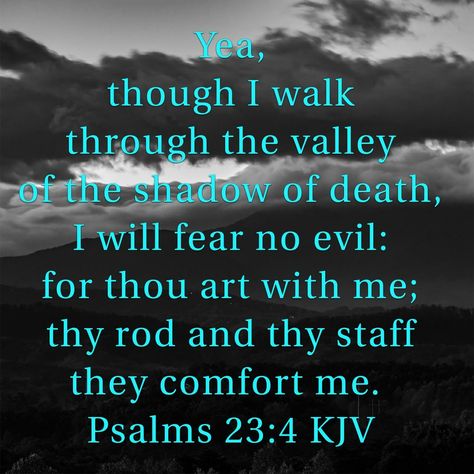 Psalms 23:4 KJV Kjv Verses, Psalms 23 4, Godly Women Quotes, Christ King, Psalms 23, Faith Verses, Bible Verses Kjv, Sympathy Quotes, Way To Heaven