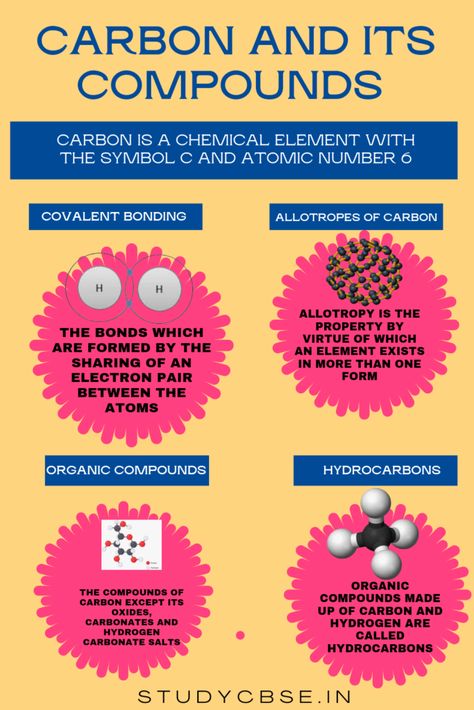 Carbon Compounds, Class 10 Science, Cbse Class 10, Notes Project, Covalent Bonding, Atomic Number, Q And A, Chemistry Notes, Organic Chemistry