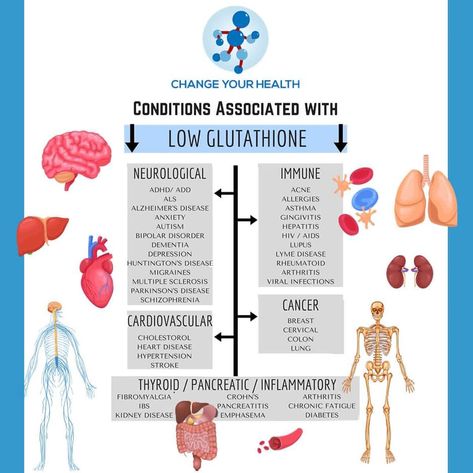 Glutathione is known as the body's "Master Antioxidant." In today's 🌍 it is very easy to become depleted in Glutathione.    Exposure to sunlight, environmental toxins and pollutants, household chemicals, pharmaceutical drug use, heavy metals, inflammation, and intense physical exercise can all diminish the body's glutathione reserves.    DID YOU KNOW REDOX MOLECULES HAS BEEN SHOWN IN STUDIES TO INCREASE CELLULAR PRODUCTION, BIOAVAILABILITY AND UTILISATION OF GLUTATHIONE?    An abundance of Glut Viral Infection, Physical Exercise, Heavy Metals, Physical Fitness, Allergies, You Changed, Chemicals, Disease, Did You Know