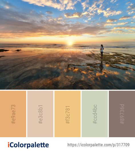 Color palette theme related to calm, cloud, horizon, Image, ocean, reflection, sea, shore, sky, sunrise, water, . Download color palette as Pdf, Adobe swatch and more. Color Palette Theme, Ocean Reflection, Sky Sunrise, Color Palette Ideas, Sky Images, Palette Ideas, Sea Shore, Sky Color, Color Card