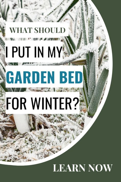 What Should I Put On My Garden Bed for Winter Winter Raised Garden Bed, Winterize Garden Beds, Winter Outdoor Decorations, Above Ground Garden, Beginners Garden, Garden For Beginners, Garden Bed Layout, Soil Erosion, Winter Crops