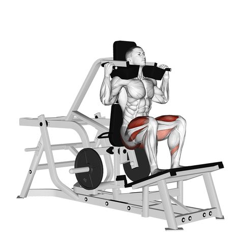 Squats With Weights Bar, Back Workout Bodybuilding, Muscle Booster, Hack Squat, Captains Chair, Barbell Deadlift, Squat Machine, Exercise Videos, Gym Gifts