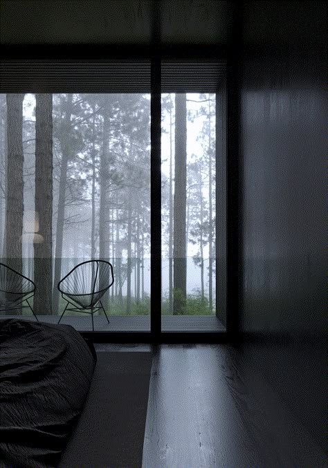 Bedroom Forest View, Bedroom Forest, Eco Hotel, Hotel Concept, Forest View, Black Inspiration, Small Cabin, Forest House, Dream House Interior