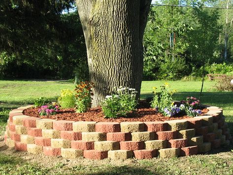 Landscaping Around Trees, Raised Flower Beds, Tree Ring, Flower Gardens, Backyard Fences, Front Yard Garden, Smokey Eyes, Landscaping With Rocks, Flower Bed