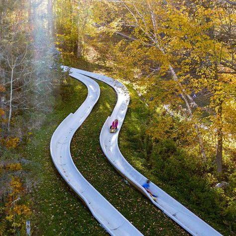 Whiz through the trees on this one-of-a-kind alpine slide at Jiminy Peak! Montana Horseback Riding, Belmont Lake State Park, Smokey Mountains Horseback Riding, Alpine Slide, Blue Ridge Mountain Parkway, Fun Dip, Western Massachusetts, Rails To Trails Bike Rides U.s. States, Massachusetts Travel