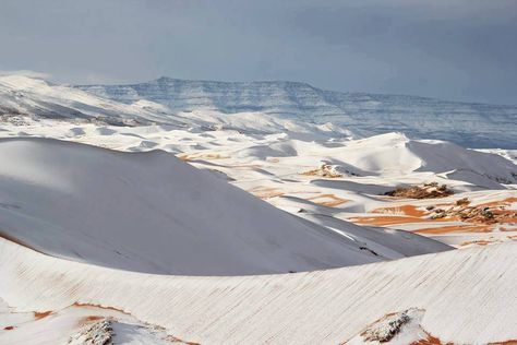 Snow is covering sand dunes in the Sahara Desert at Ain Sefra, Algeria for the second winter in a row after snowfall wasn't reported over the last 40 years. These pictures tell the story! Desert Sahara, Snow Images, Hot Desert, Fun Deserts, Sahara Desert, African Safari, In The Desert, The Desert, Marrakech