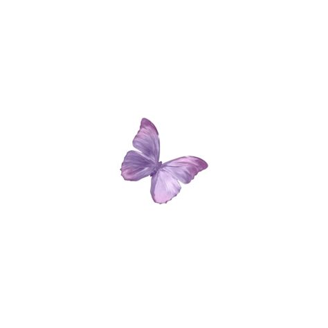 Purple Icon White Background, Purple Flower White Background, Purple Homescreen, Wisteria Cottage, Aesthetic Pngs, White Backround, Imagenes Aesthetic, Gif Ig, Purple Books