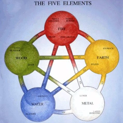 5 Elements Of Nature, Happy Birthday Football, Acupuncture Points Chart, Tcm Traditional Chinese Medicine, Acupuncture Clinic, The Five Elements, Veterinary Services, Five Elements, Acupuncture Points