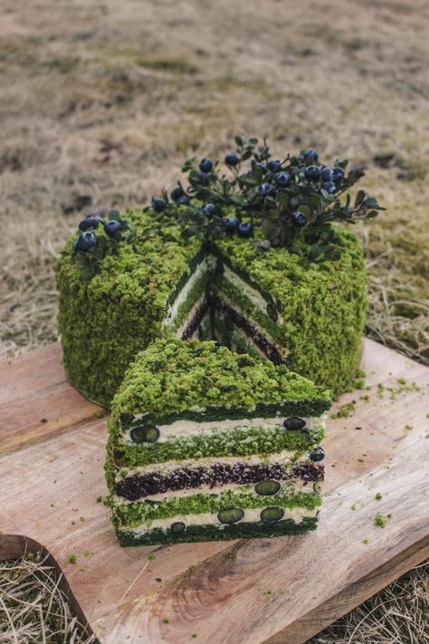 Cake Forest, Moss Cake, Fairy Food, 3 Cake, Love Birthday, Pretty Dessert, Cute Baking, Pretty Birthday Cakes, Occasion Cakes