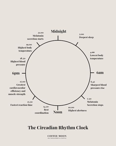 How To Reset Your Circadian Rhythm To Boost Happiness — Coffee Moon | For Women Who Want More | Self-Development Circadian Rhythm Chart, Chinese Body Clock, Circadian Clock, A Love Letter To Myself, Love Letter To Myself, Energy Shift, Zen Mode, Healthy Girl Era, Quotes From The Heart