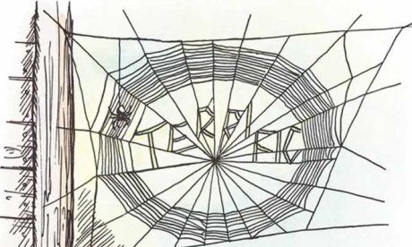 terrific! - Charlotte's Web ~ Garth Williams Charlotte’s Web, Suspended Animation, Web Tattoo, Charlotte's Web, Pig Art, Halloween Garden, White Pages, Book Week, Novel Studies