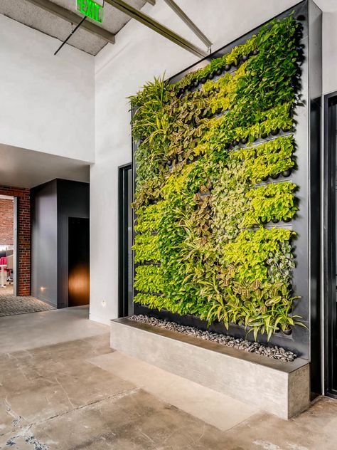 Office | Plants | Interior | Inspiration | Vertical garden | Green wall Wall Herb Garden, Planting Bulbs In Spring, Green Plant Wall, Green Wall Design, Indoor Plant Wall, Herb Wall, Vertical Garden Indoor, Living Wall Decor, Garden Solutions