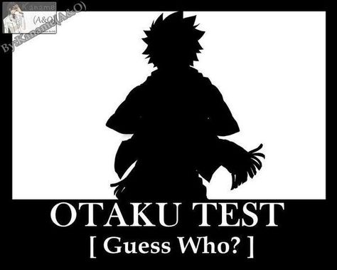 Otaku Test - (tv) Who's that Pokemon(otaku)-  it's Pikachu (TV) its natsu (otaku) dammit Otaku Test, The Familiar Of Zero, Otaku Problems, Akuma No Riddle, Otaku Issues, Tik Tok Videos Funny, Natsu Fairy Tail, Tik Tok Videos, Fairy Tail Guild