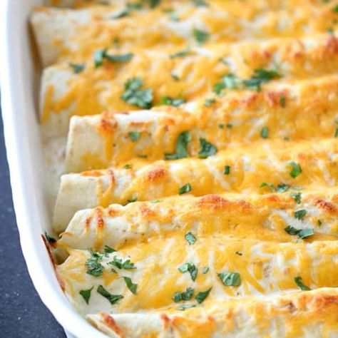 Honey Lime Chicken Enchiladas - Six Sisters' Stuff Honey Lime Chicken Enchiladas, Honey Lime Enchiladas, Cabbage Casserole Recipes, Chicken Enchiladas Recipe, Verde Chicken, Honey Lime Chicken, Green Chicken, Pre Cooked Chicken, Six Sisters Stuff