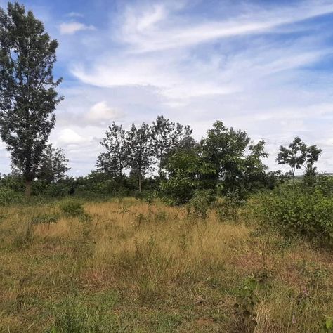 Agricultural land for sale in Bugesera Price:253,000,000 RWF A  land situated in Bugesera is available for sale. The land is located in a comfortable, secure, and peaceful neighborhood. Its proximity to a tarmac road and the land suitable for agricultural activities make it an advantage for those interested in purchasing it. The land covers an area of 29,777 square meters. The asking price for the land is 253,000,000 RWF Photography Studio Decor, Agricultural Land, Peaceful Neighborhood, Studio Decor, Land For Sale, Photography Studio, The Land, Studio Photography, Vision Board