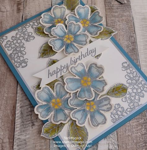 Stampin Up Birthday, Birthday Cards For Women, Quick Cards, Shaker Cards, Floral Cards, Blossom Flower, Watercolor Cards, Stamping Up, Flower Cards