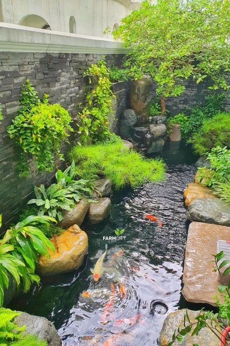 Pond Indoor, Indoor Pond Ideas, Waterfall Indoor, Pond Ecosystem, Pond Lighting, Pond Rocks, Pond Diy, Diy Ponds Backyard, Small Water Gardens