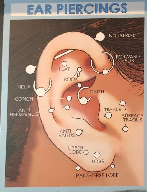 Ear Piercing Diagram, Piercing Places, Ear Piercings Placement Chart, Ear Piercing Names, Different Ear Piercings, Ear Piercings Chart, Piercing Chart, Double Ear Piercings, Types Of Ear Piercings