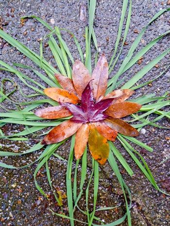 Creative Art For Kids, Goldsworthy Art, Spring Activity, Andy Goldsworthy, Art Activity, Earth Art, Spring Activities, Camping Art, Nature Crafts