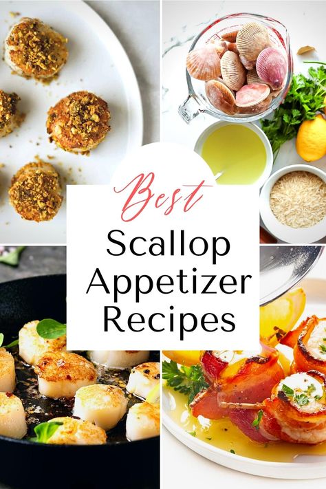 West Coast Kitchen, Scallop Appetizer, Easy Scallop Recipes, Frozen Scallops, Coast Kitchen, Fresh Scallops, Grilled Scallops, Gourmet Appetizers, Superfood Salad