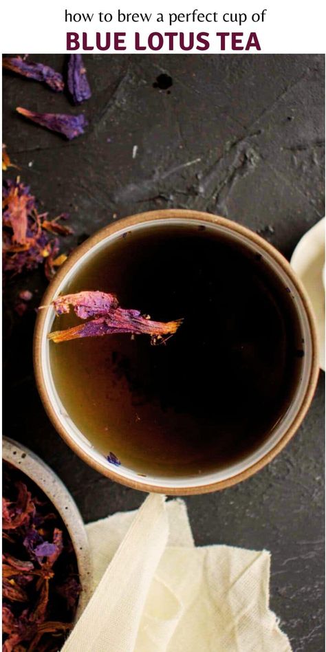 herbal infusion, blue lotus tea, blue lotus chai, Blue Lotus Flower Tea, Medicinal Tea Recipes, Blue Lotus Tea, Lotus Flower Tea, Herbal Tea Remedies, Tea Remedies, Wild Herbs, Lotus Tea, Medicinal Tea