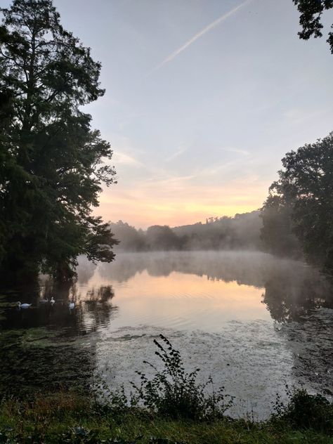 Early Morning Aesthetic, Summer Reset, Countryside Walks, Wallace Stevens, Future Board, Cool Morning, Morning Girl, Morning Rain, Barbara Eden