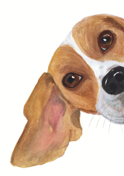 Dogs Watercolor Paintings, Cute Beagle Drawing, Jack Russell Drawing, Cute Dog Watercolor, Painting Clipart, Dogs Watercolor, Dog Watercolor Art, Watercolor Dogs, Dog Watercolor Painting