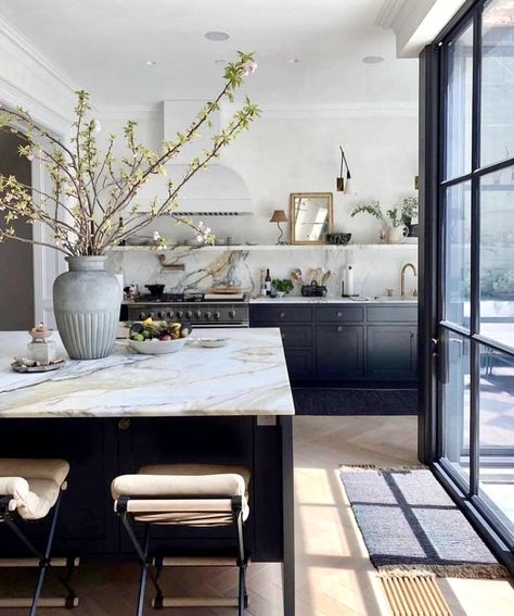 Marble Types, Tali Roth, Classic Kitchen, Home Luxury, Kitchen Counters, Kitchen Farmhouse, Interior Modern, Stone Cold, Black Cabinets