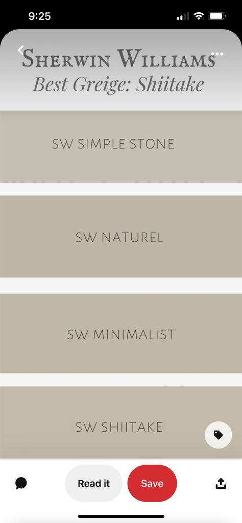 Stone Paint Color Sherwin Williams, Sw Stone Hearth, Sherwin Williams Minimalist Paint Color, Sw Simple Stone, Sherwin Williams Simple Stone, Simple Stone Sherwin Williams, Sherwin Williams Minimalist, Stone Colour Paint, Cloud Ideas