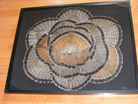 Tail fans in a shadow box looks so easy this is going to be my project! Hunting Mounts, Turkey Mounts, Deer Hunting Decor, Deer Heads, Deer Mounts, Woodwork Ideas, Feather Wreath, Rustic Door, Hunting Decor