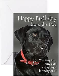 Funny Happy Birthday Meme, Men Quotes Funny, Dog Birthday Card, Dog Greeting Cards, Happy Birthday Meme, Funny Happy Birthday, Birthday Meme, Funny Greeting Cards, Flirting Memes