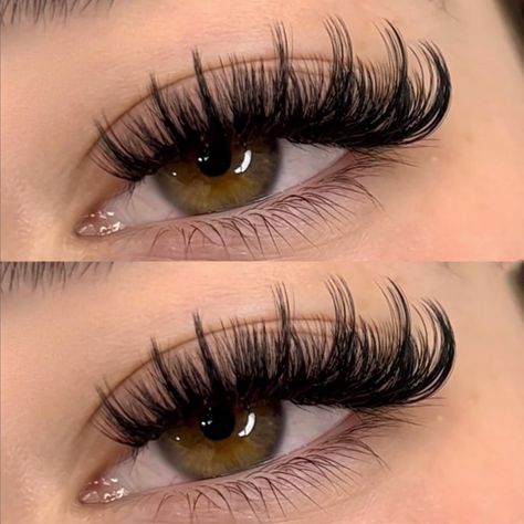 Lash Extensions Brown, Curl Eyelash Extensions, Brown Lash Extensions, Lash Extensions Volume, Lash Extensions Kit, Natural Fake Eyelashes, Best Lash Extensions, Lashes Fake Eyelashes, Lash Sets