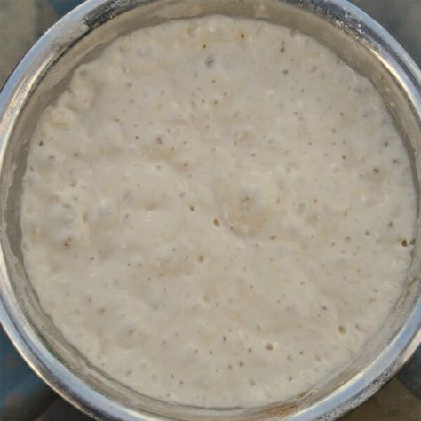 Poolish Recipe Poolish Pizza Dough, Poolish Starter, Poolish Recipe, Sourdough Pizza Dough, Italian Bakery, Artisan Pizza, Cooking Pizza, Sourdough Pizza, Pizza Dough Recipe