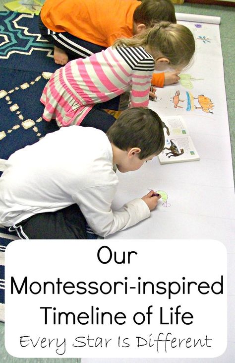 A blog about Montessori-inspired homeschooling and special needs. Timeline Of My Life Project For Kids, Timeline Of Life Montessori, First Great Lesson Montessori, Montessori Daily Life Activities, Fundamental Needs Of Humans Montessori, Elementary History, Dinosaur Activities Preschool, Montessori Science, Montessori Elementary