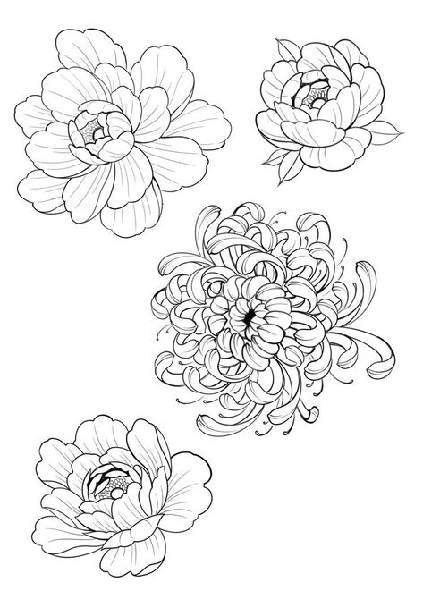 Flowers To Add To A Tattoo, Irezumi Flower Tattoo, Flower Tattoo Reference, Traditional Flash Art Tattoo, Japan Flower Drawing, Flash Art Flowers, Hand Poke Flower Tattoo, Different Types Of Flowers Tattoos, Japanese Flower Illustration