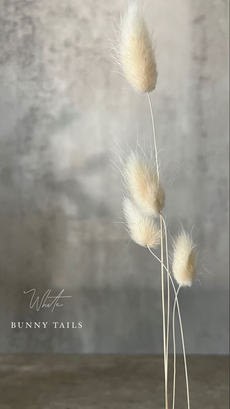 Beige Dried Flowers Aesthetic, Elegant Bouquet, Flower Landscape, Flower Names, Lush Garden, Small Tattoos, Decorating Your Home, Flower Arrangements, Floral Design