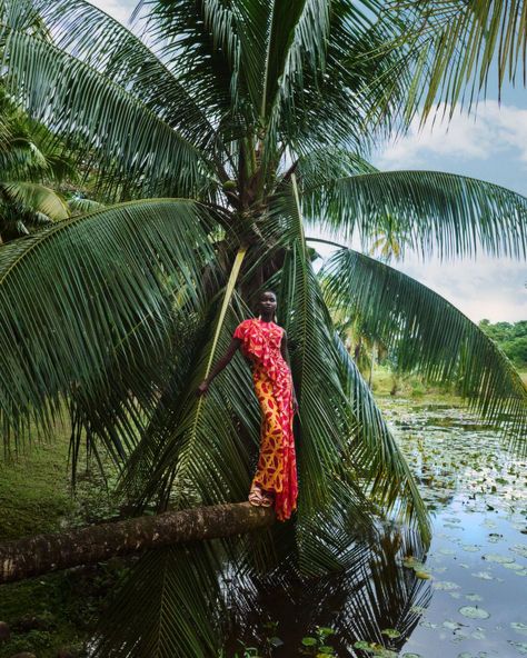 Ulla Johnson Pre-Fall 2023 Campaign Jungle Fashion Editorial, Artistic Photo Shoot, Nature Editorial, Beach Editorial, Caribbean Fashion, Pre Fall 2023, Learn Photography, Zine Design, Tropical Fashion