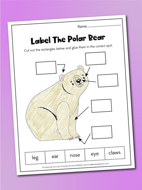 Polar Bear Learning Activities, Polar Bear Books Preschool, Arctic Animals Kindergarten Activities, Polar Bear Lesson Plans Preschool, Preschool Polar Bear Activities, Polar Activities For Preschool, Polar Bear What Do You Hear Activities, Polar Bear Polar Bear What Do You Hear Activities Preschool, Polar Bear Activities For Kindergarten