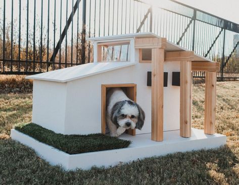 Modern Dog Houses, Wooden Dog House, Dog Spaces, Construction Firm, Wooden Dog, Dog Ideas, Kids Outdoor, Modern Dog, Hustle Ideas