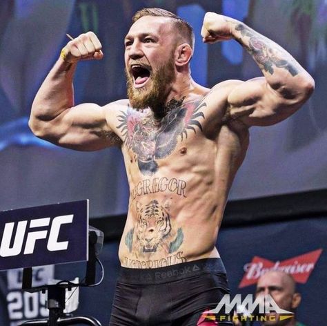 Conor Mcgregor Aesthetic, Conor Mcgregor Body, Conor Mcgregor Suit, Connor Macgregor, Conor Macgregor, Mcgregor Style, Mcgregor Suits, Conor Mcgregor Wallpaper, Conner Mcgregor