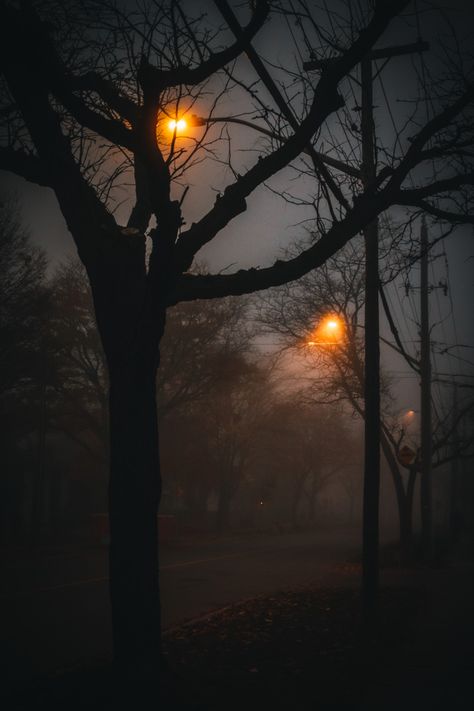 Dark Season Aesthetic, Black Autumn Aesthetic, Cozy Writing Aesthetic, Cozy Horror Aesthetic, Autumn Evening Aesthetic, Late Autumn Aesthetic, November Aesthetic Dark, Deep Autumn Aesthetic, November Aesthetic Cozy